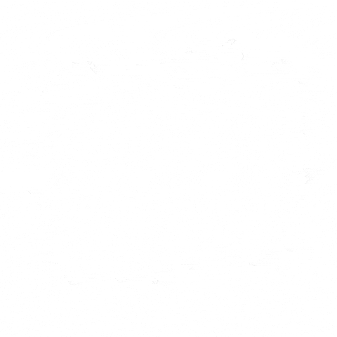 Brooklyn Djs GIF by JON