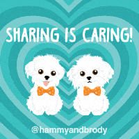 Dogs Share GIF by HammyandBrody