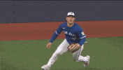 Blue Jays Canada GIF by Toronto Blue Jays
