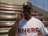 Lets Go Baseball GIF by Goldmaster