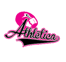 fitness workout Sticker by F45