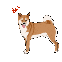 Shiba Sticker