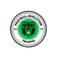 Soccer Training Sticker by FET