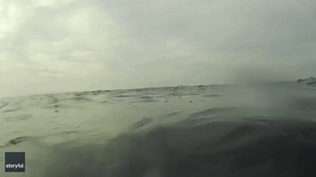 Kayaker Spots Basking Shark in Cornwall, England