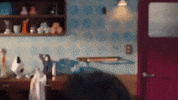 Jin GIF