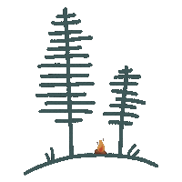 Fire Camping Sticker