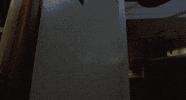 garrett morris GIF by Coolidge Corner Theatre