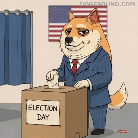 Voting Election Day GIF by Doge Pound