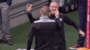 Champions Yes GIF by Sheffield Wednesday Football Club