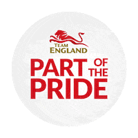 Bring It Home Sticker by Team England