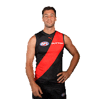 Football Sport Sticker by Essendon FC