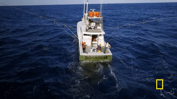 natgeochannel wicked tuna GIF