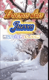 Amigos Buenos Dias GIF by Murcianys LLC