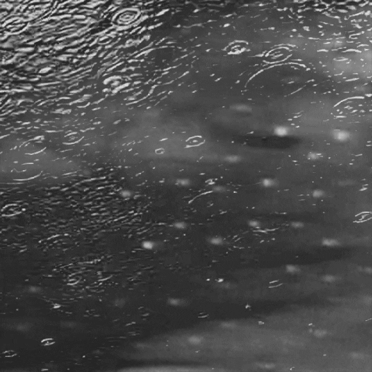 Water Waves GIF by Trevor Anderson