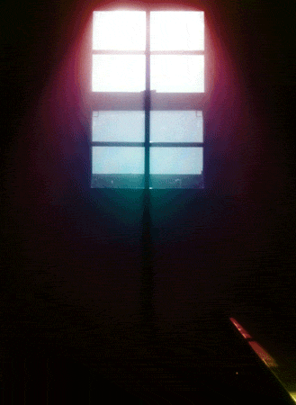 back from the dead window GIF by weinventyou