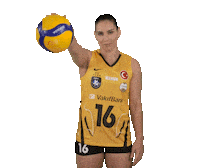 Vakıfbanksk Sticker by VakıfBank Spor Kulübü