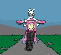 off-road love GIF by Chippy the dog