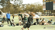 track & field wave GIF by GreenWave