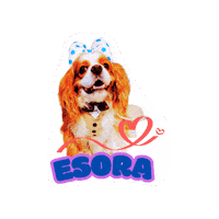 Cavalierkingcharlesspaniel Sticker
