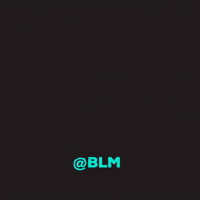 blmoficial sale moda blm compra GIF