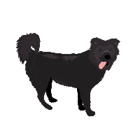Happy Dog Sticker by Wagboo