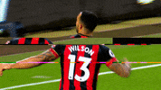 Premier League Football GIF by AFC Bournemouth