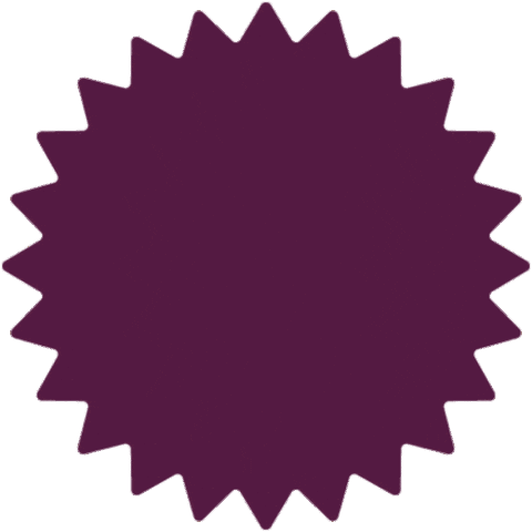 Corrida Leve Sticker by Leve Saúde