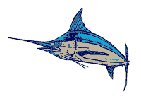 Blue Marlin Fish Sticker by Put Me Outside