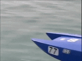 victoryteam speed race victory champion GIF