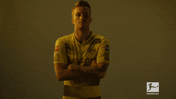 proud borussia dortmund GIF by Bundesliga
