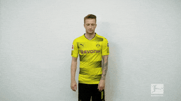 posing borussia dortmund GIF by Bundesliga