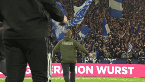 Football Sport GIF by FC Schalke 04