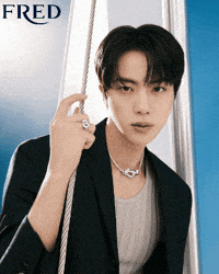 Jin GIF