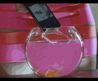 Water Phone GIF