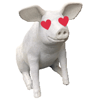 Pig Heart Eyes Sticker by NORCHAR Real Estate