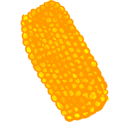 Corn Лето Sticker