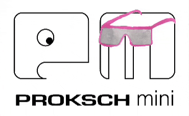 prokschmini giphyattribution sunglasses kidsfashion prokschmini GIF
