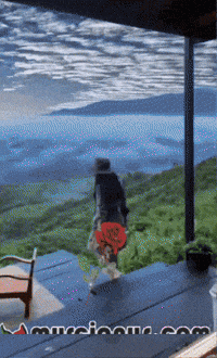 Para Mi Amigos GIF by Murcianys LLC