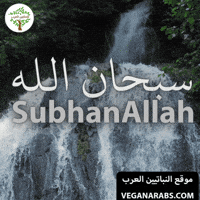 الله GIF by VeganArabs