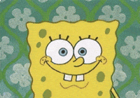 animation television GIF by SpongeBob SquarePants