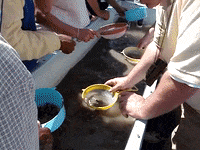 Education Biology GIF by DIIMSA Stock