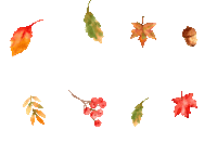 Fall Autumn Sticker by Bouclair