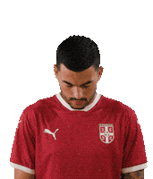 Radonjic Reprezentacija Sticker by sportmts