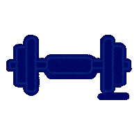 Fitness Festival Sticker by Bewe Software