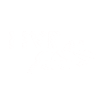 Workouts Teamlsf Sticker by Love Sweat Fitness