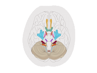 Gelyssa Sticker