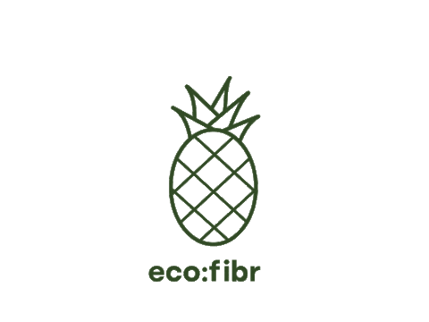 Pineapple Sticker by eco:fibr
