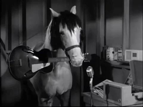 - Find & Share on GIPHY