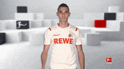 Football Soccer GIF by Bundesliga