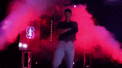 Baseball Hype GIF by NCAA Championships